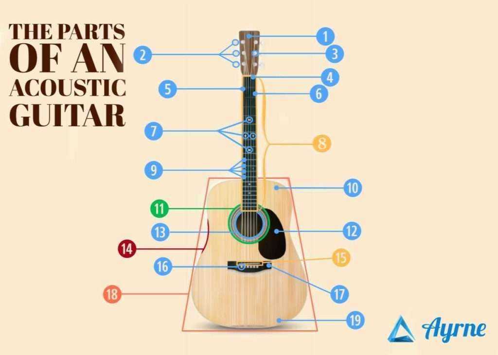 Graphic of acoustic guitar with names of the different parts