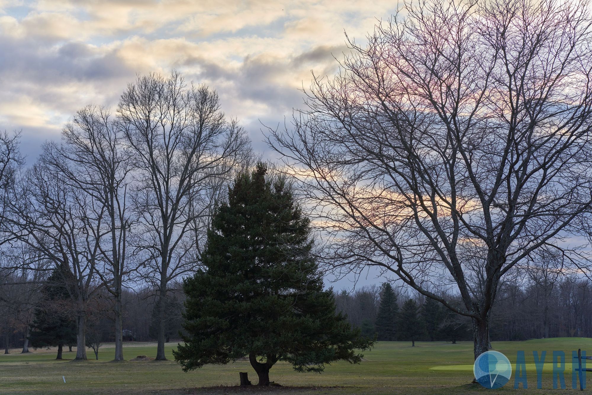 Sony A7RIV,Tokina 85mm 1.8, f5 (sample image)