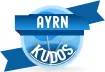 Ayrn Kudos Award