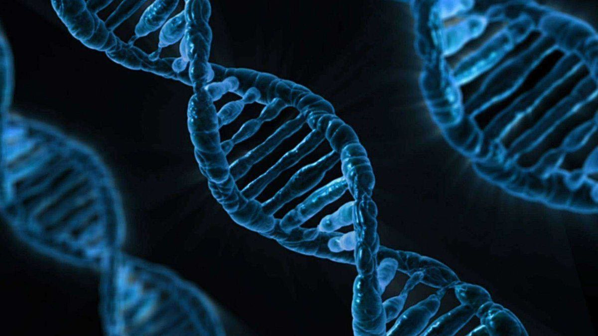 This Gene Keeps Your Gender from Changing