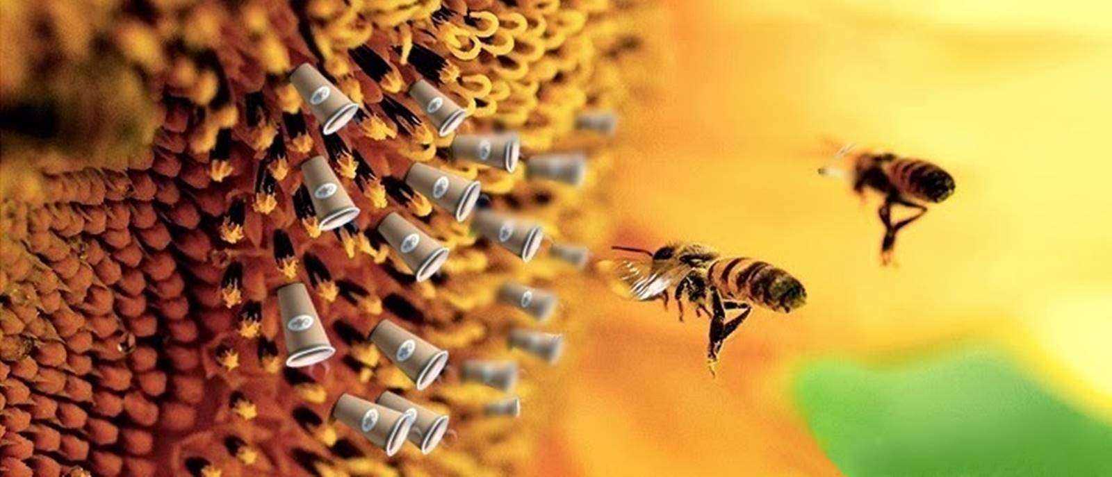 Bees Totally Addicted to Caffeine and Nicotine