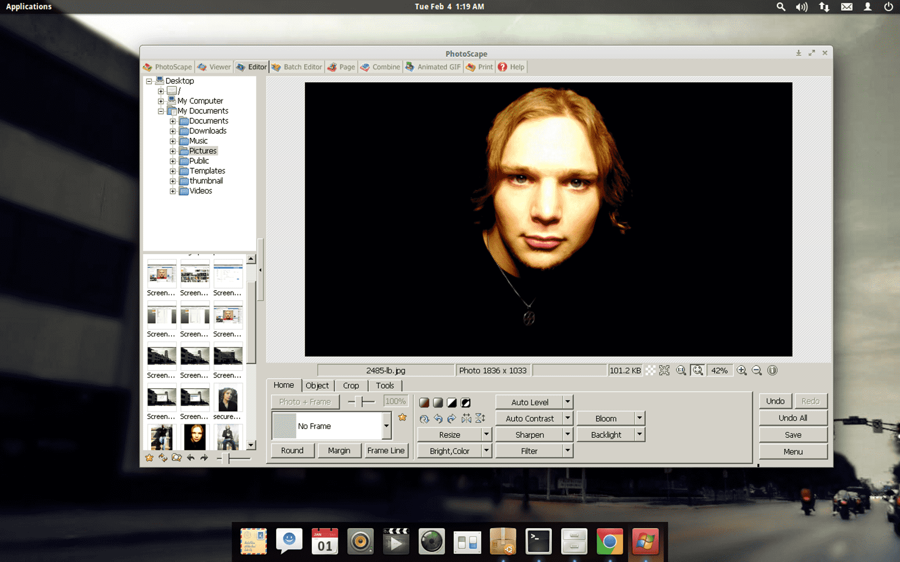 You CAN Install PhotoScape on Ubuntu Distros