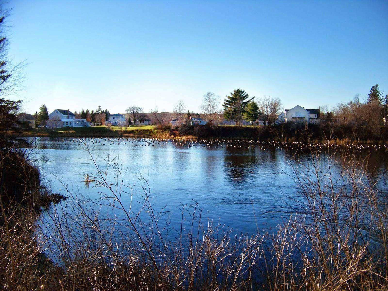 Mill Pond, Washburn, ME (Captured with Kodak Z8612, Photo © 2014 Benjamin F Sullivan)